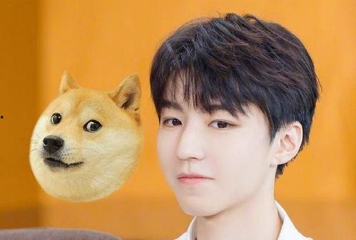 王俊凯吃瓜娱乐视频直播,揭秘娱乐圈幕后故事